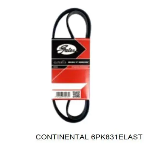 Correa de transmisión trapezoidal Continental/Siemens 6PK831ELAST precio, desde 30,61 EUR