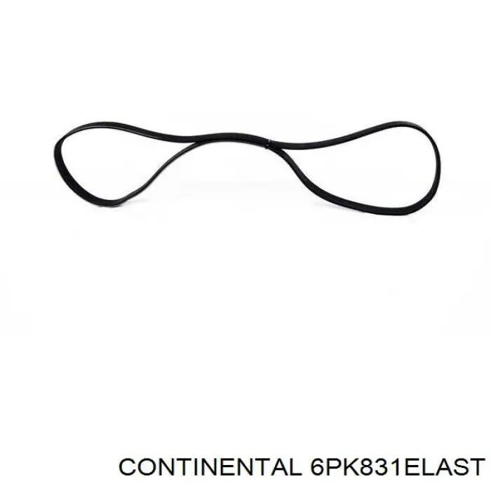 6PK831ELAST Continental/Siemens Correa poly v