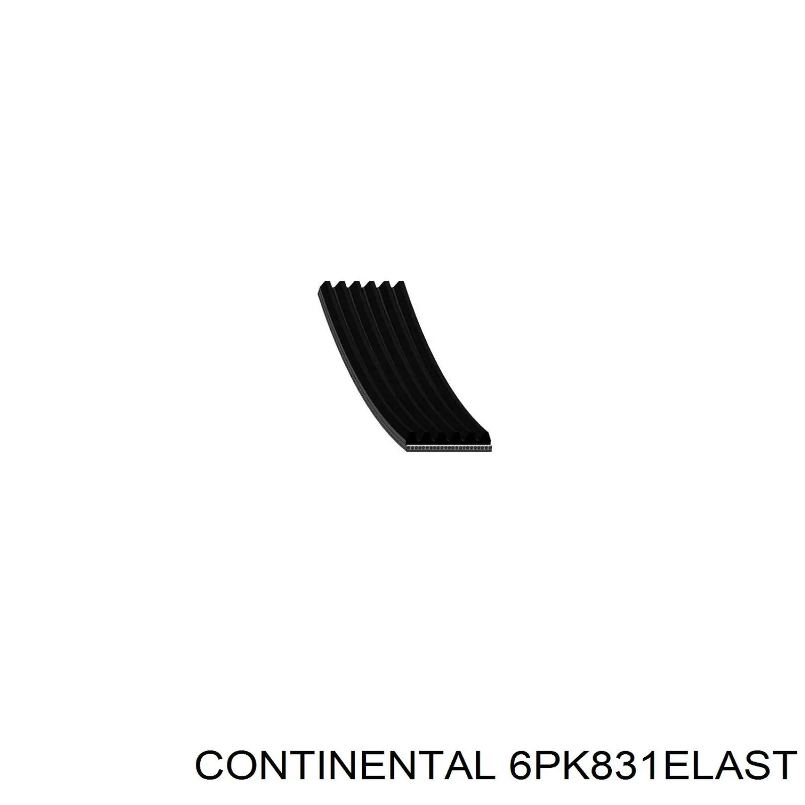 6PK831ELAST Continental/Siemens correa trapezoidal