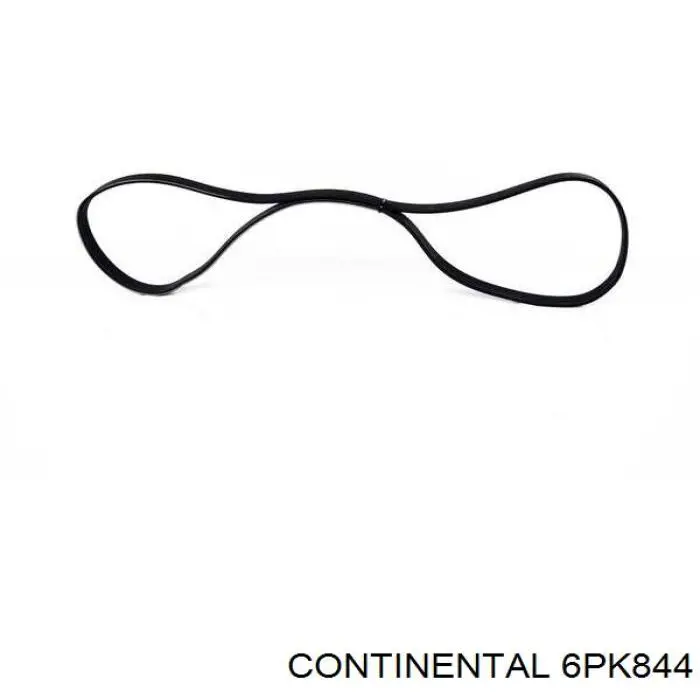 Correa de transmisión trapezoidal Continental/Siemens 6PK844 precio, desde 24,77 EUR