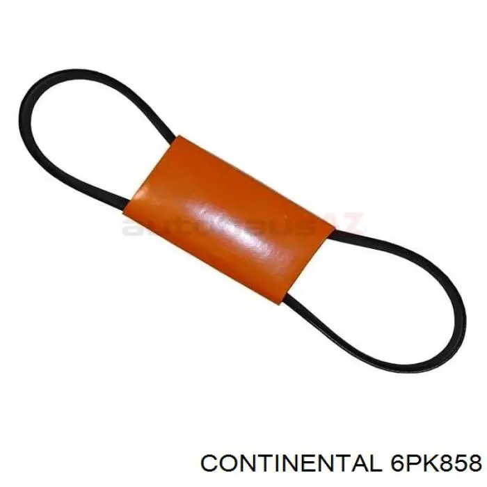 Correa de transmisión trapezoidal Continental/Siemens 6PK858 precio, desde 22,89 EUR