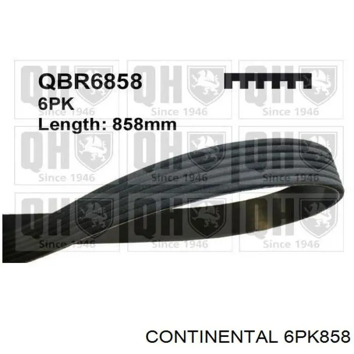 6PK858 Continental/Siemens correa trapezoidal