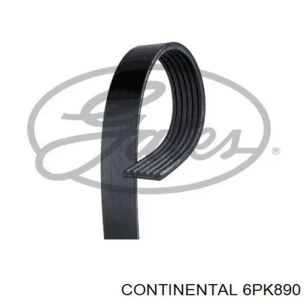 6PK890 Continental/Siemens correa trapezoidal