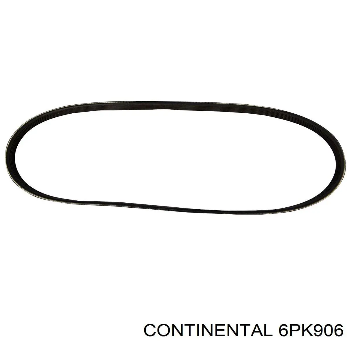 6PK906 Continental/Siemens Correa poly v