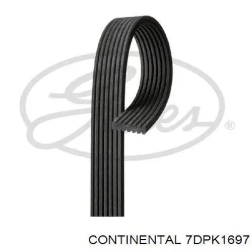 Comprar FB7DPK1697 INA Correa trapezoidal