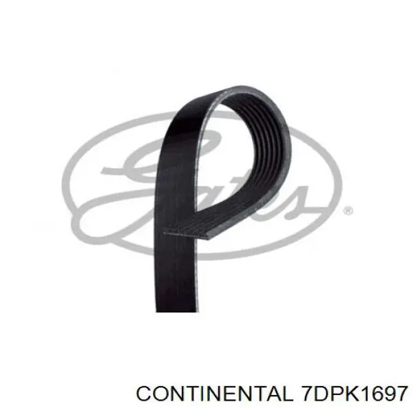 Correa de transmisión trapezoidal INA FB7DPK1697 precio, desde 83,72 EUR
