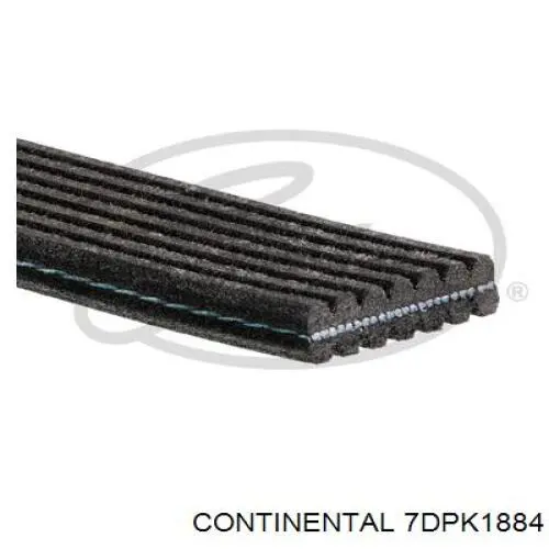 Correa de transmisión trapezoidal Continental/Siemens 7DPK1884 precio, desde 94,10 EUR