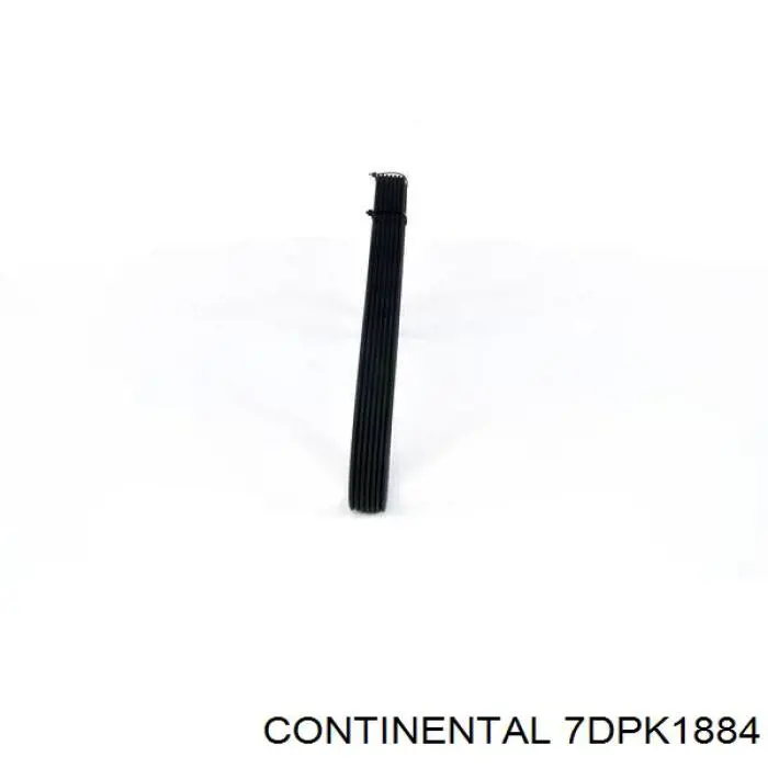 Comprar 7DPK1884 Continental/Siemens Correa trapezoidal