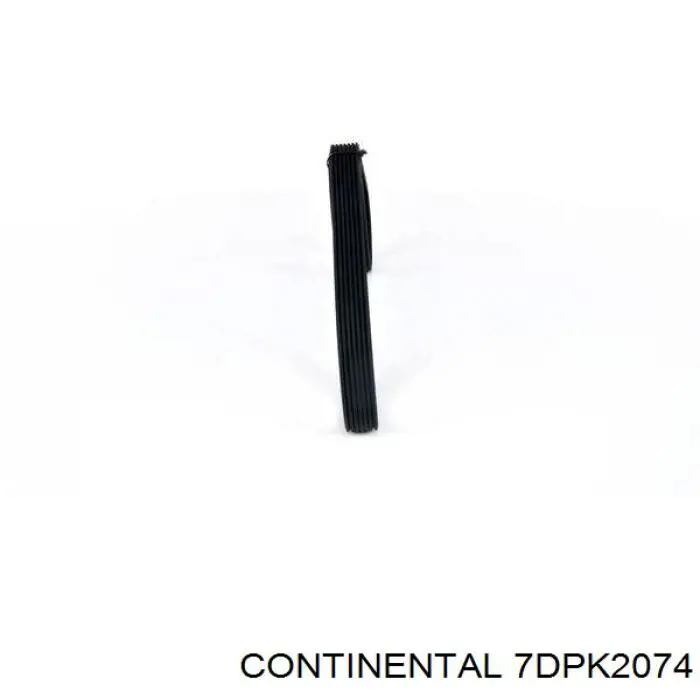 7DPK2074 Continental/Siemens correa trapezoidal