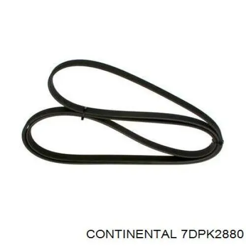 Correa de transmisión trapezoidal Continental/Siemens 7DPK2880 precio, desde 134,03 EUR