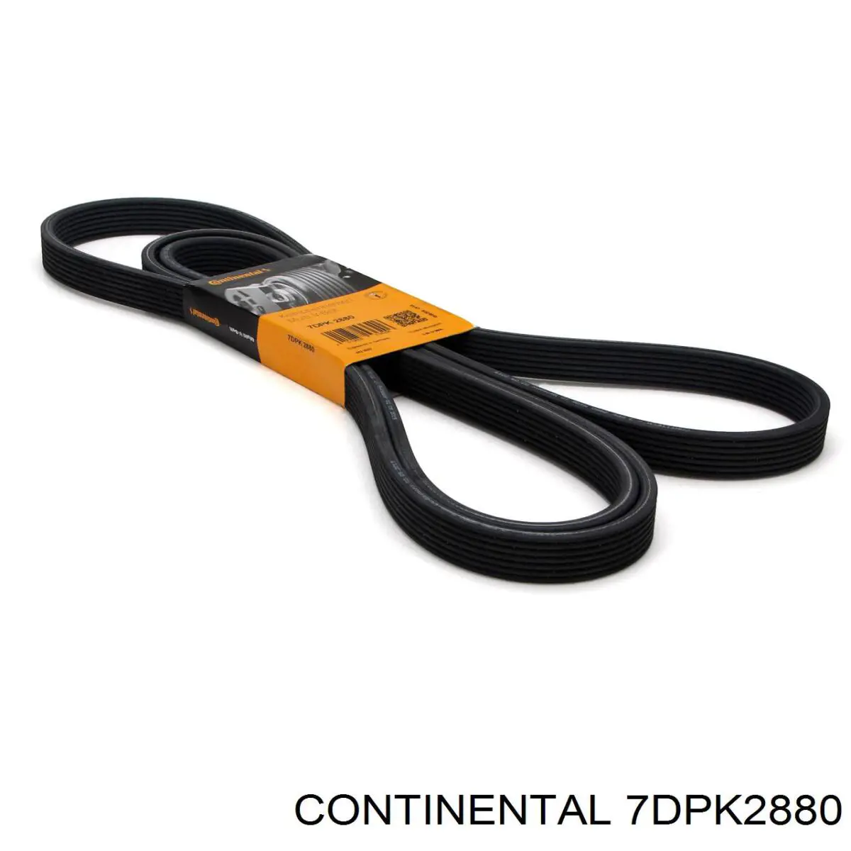 Comprar 7DPK2880 Continental/Siemens Correa trapezoidal
