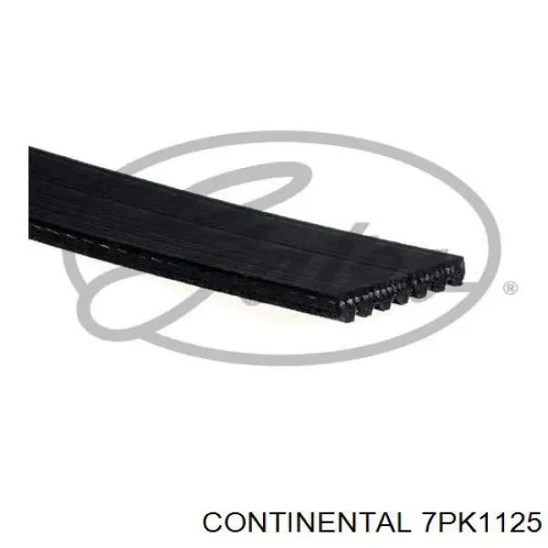 7PK1125 Continental/Siemens correa trapezoidal