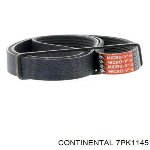 7PK1145 Continental/Siemens Correa poly v