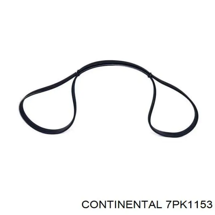 Correa de alternador 7PK1153 Continental/Siemens