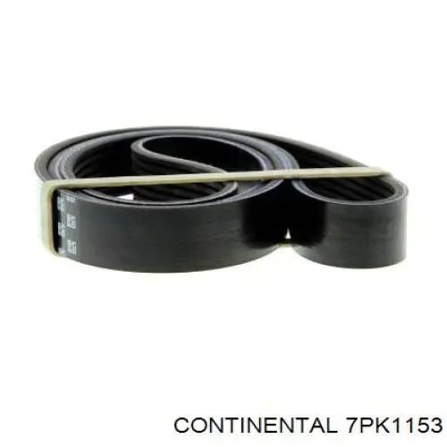 Correa de transmisión trapezoidal Continental/Siemens 7PK1153 precio, desde 31,69 EUR