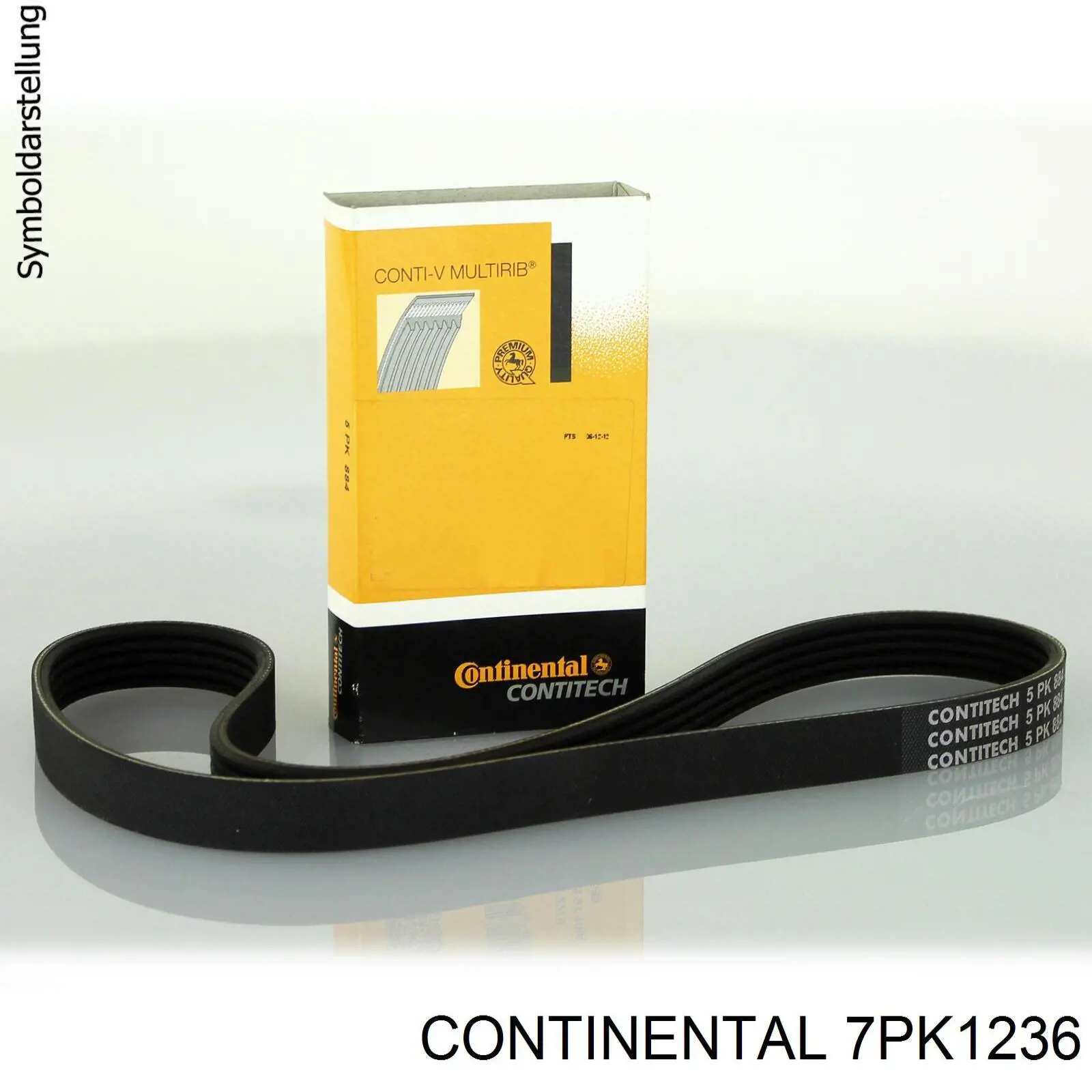 Correa de alternador 7PK1236 Continental/Siemens