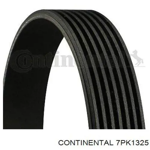 Correa de alternador 7PK1325 Continental/Siemens