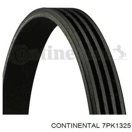 7PK1325 Continental/Siemens Correa poly v