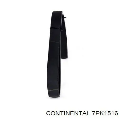 Comprar 7PK1516 Continental/Siemens Correa trapezoidal