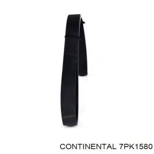 Correa accesorios Dayco 7PK1575