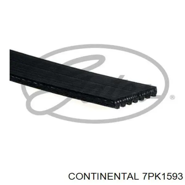 Correa de transmisión trapezoidal Continental/Siemens 7PK1593 precio, desde 42,33 EUR
