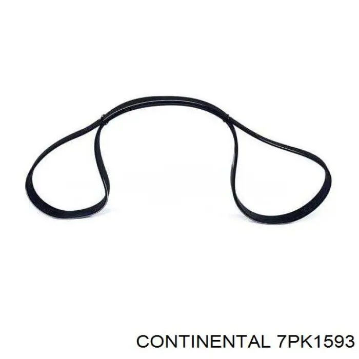 Correa de alternador 7PK1593 Continental/Siemens