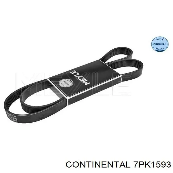 Correa de transmisión trapezoidal INA FB7PK1593 precio, desde 42,33 EUR