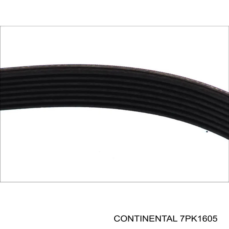 Correa de alternador 7PK1605 Continental/Siemens