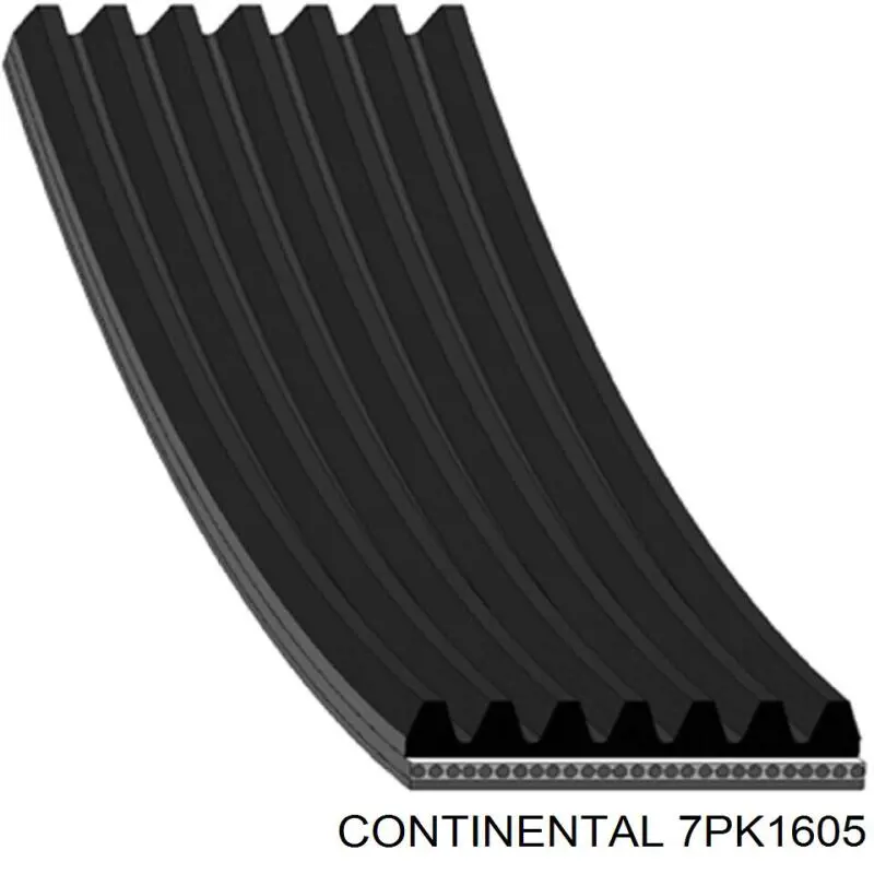 7PK1605 Continental/Siemens correa trapezoidal