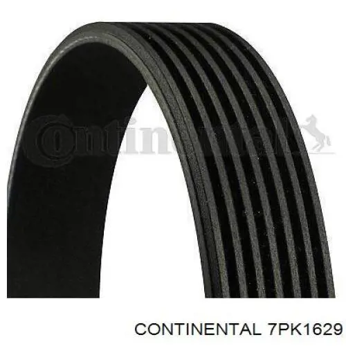 7PK1629 Continental/Siemens Correa poly v