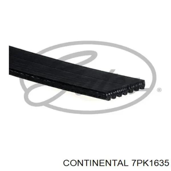 7PK1635 Continental/Siemens correa trapezoidal