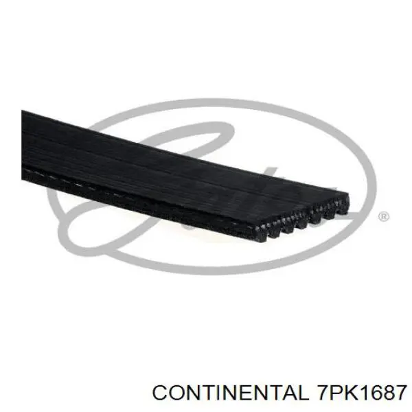 Comprar 7PK1685K Dayco Correa trapezoidal