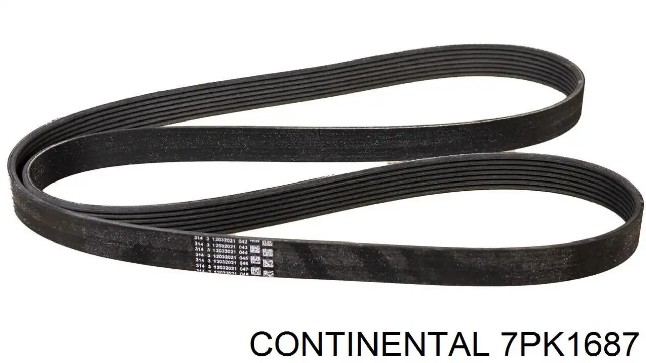 Correa de transmisión trapezoidal Continental/Siemens 7PK1687 precio, desde 33,83 EUR