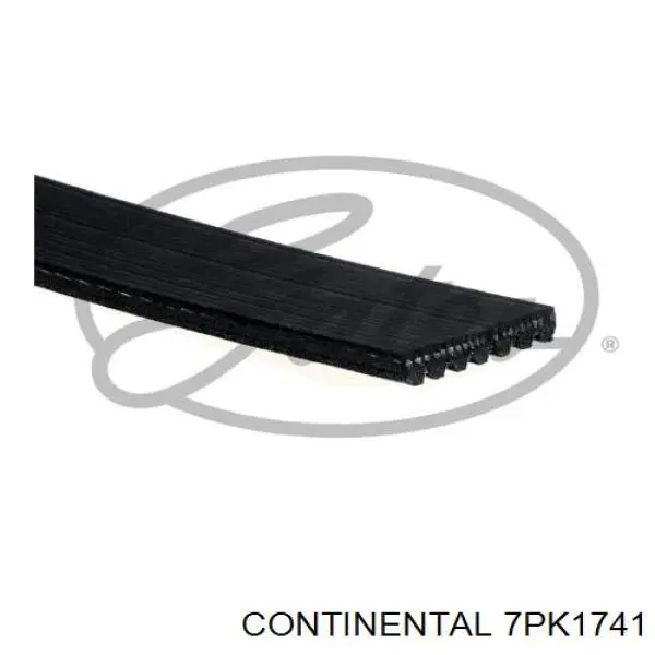 7PK1741 Continental/Siemens correa trapezoidal