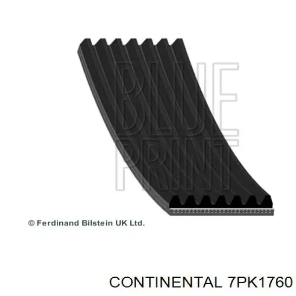 Correa de alternador 7PK1760 Continental/Siemens