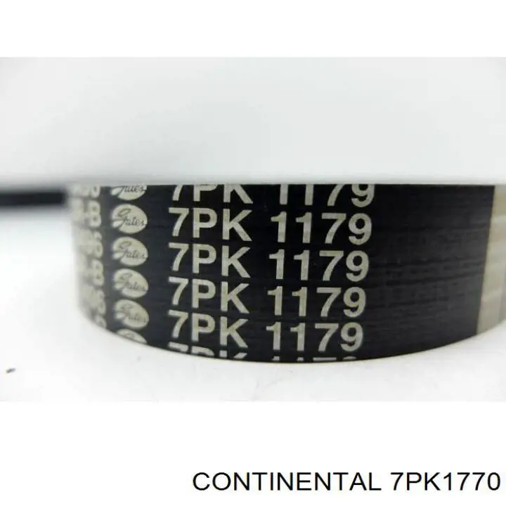 Correa de alternador 7PK1770 Continental/Siemens