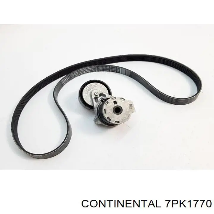 7PK1770 Continental/Siemens Correa poly v