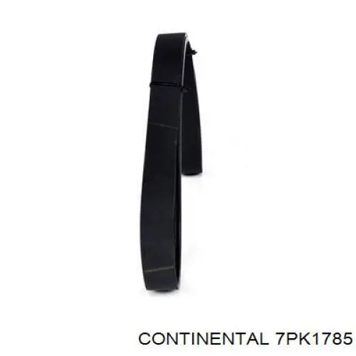 Correa de transmisión trapezoidal Continental/Siemens 7PK1785 precio, desde 36,12 EUR