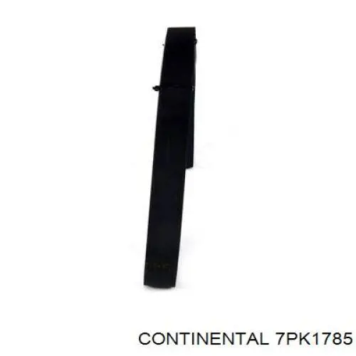 Correa de alternador 7PK1785 Continental/Siemens