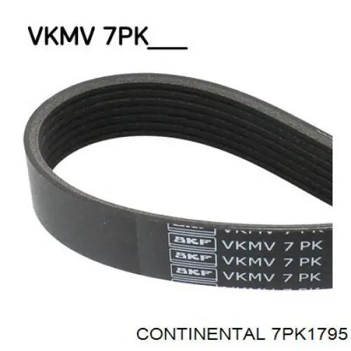 Comprar 7PK1795 Continental/Siemens Correa trapezoidal
