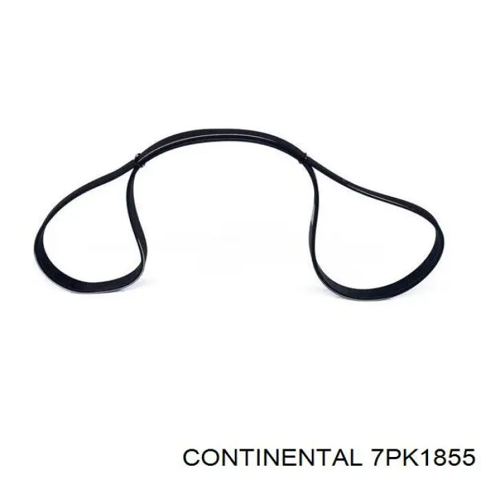 809225020 Subaru Correa poly v