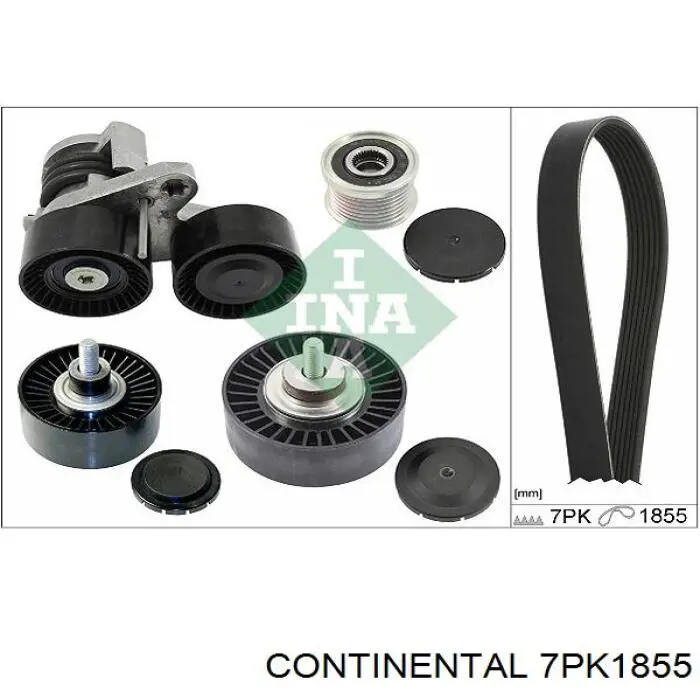 Comprar 7PK1855 Continental/Siemens Correa trapezoidal