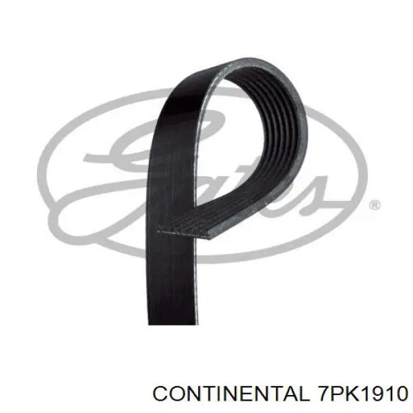 Correa de transmisión trapezoidal Continental/Siemens 7PK1910 precio, desde 48,85 EUR