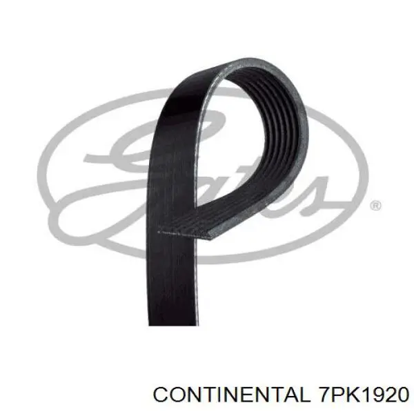 Comprar 7PK1920 Continental/Siemens Correa trapezoidal