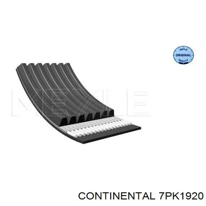 Correa de alternador 7PK1920 Continental/Siemens