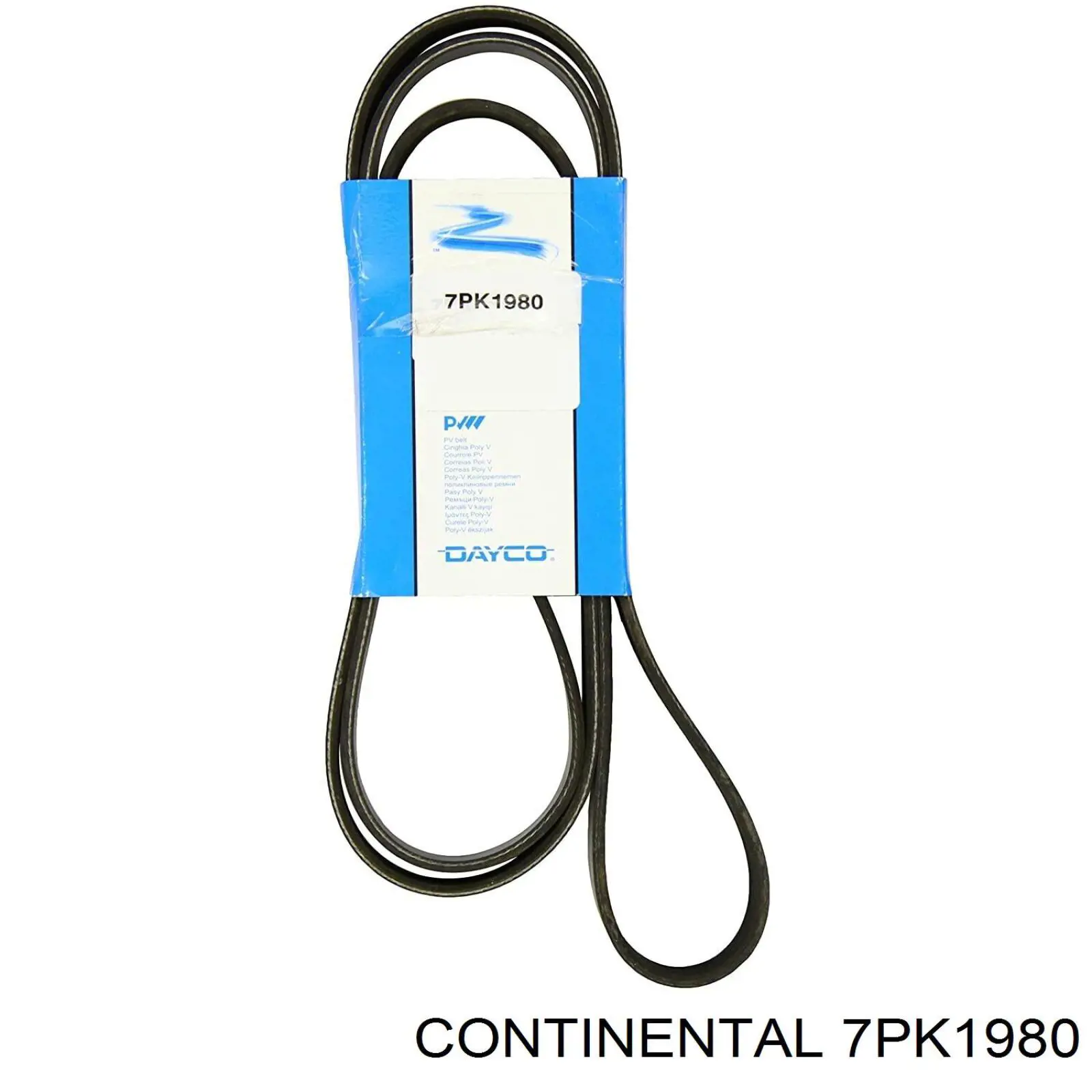 Correa de transmisión trapezoidal Continental/Siemens 7PK1980 precio, desde 45,65 EUR