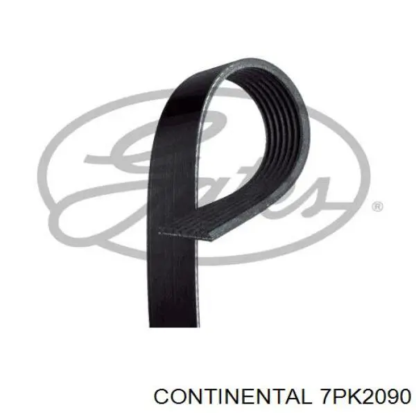7PK2090 Continental/Siemens Correa poly v