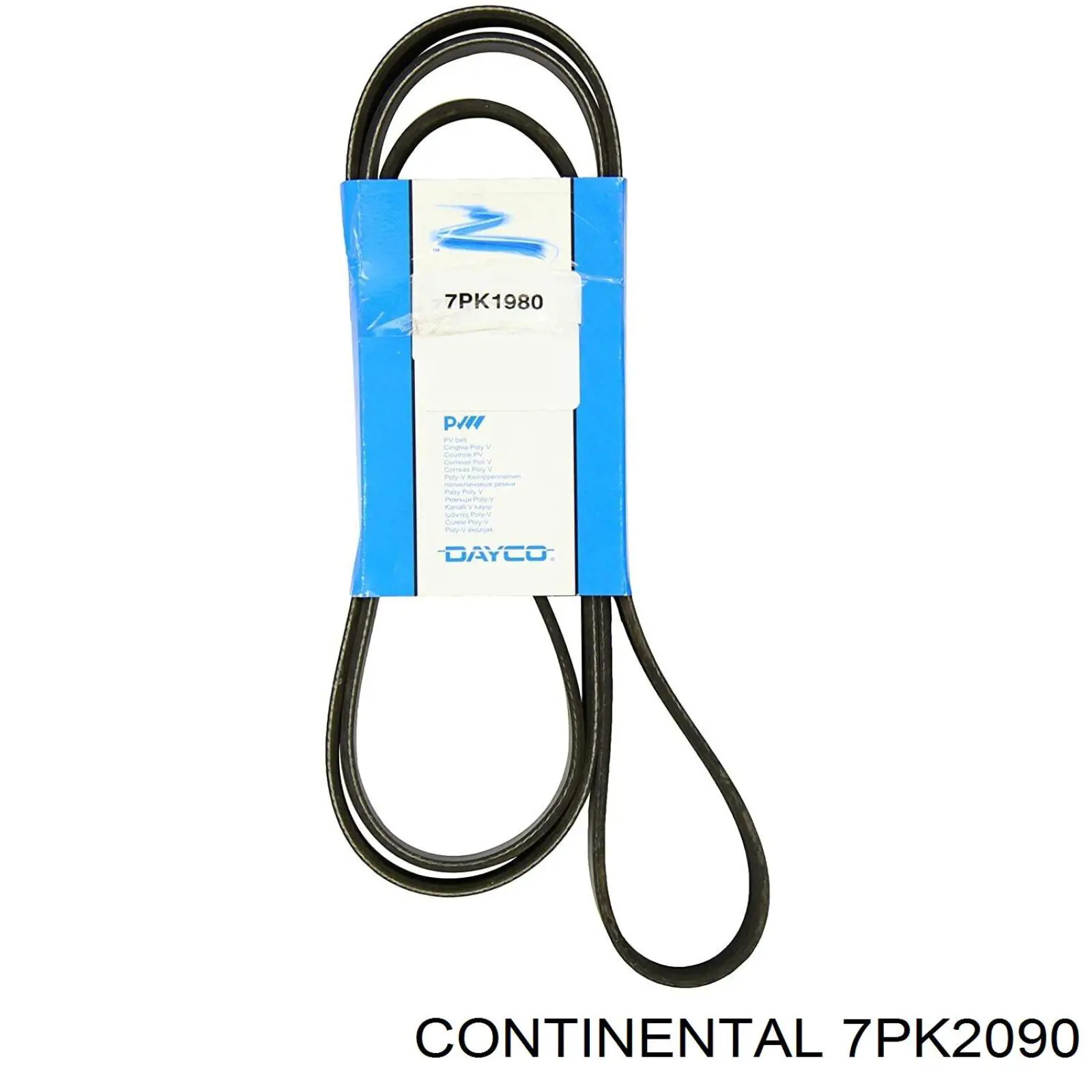 Correa de alternador 7PK2090 Continental/Siemens