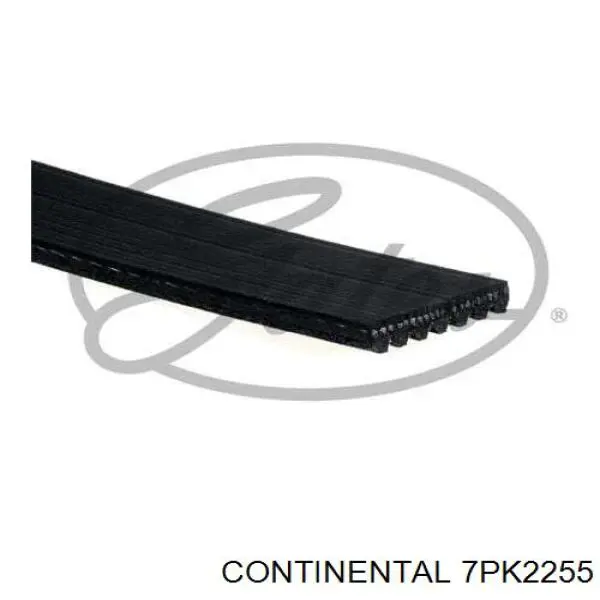 7PK2255 Continental/Siemens Correa poly v