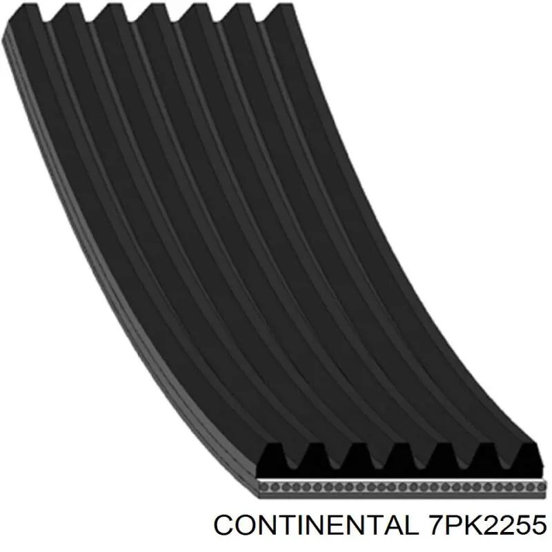 Correa de transmisión trapezoidal Continental/Siemens 7PK2255 precio, desde 52,44 EUR